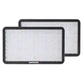 Amaran Pano 60c 2-Light Kit Charcoal