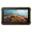 Atomos Ninja 5&quot; HDR Monitor med RAW opp til 4K