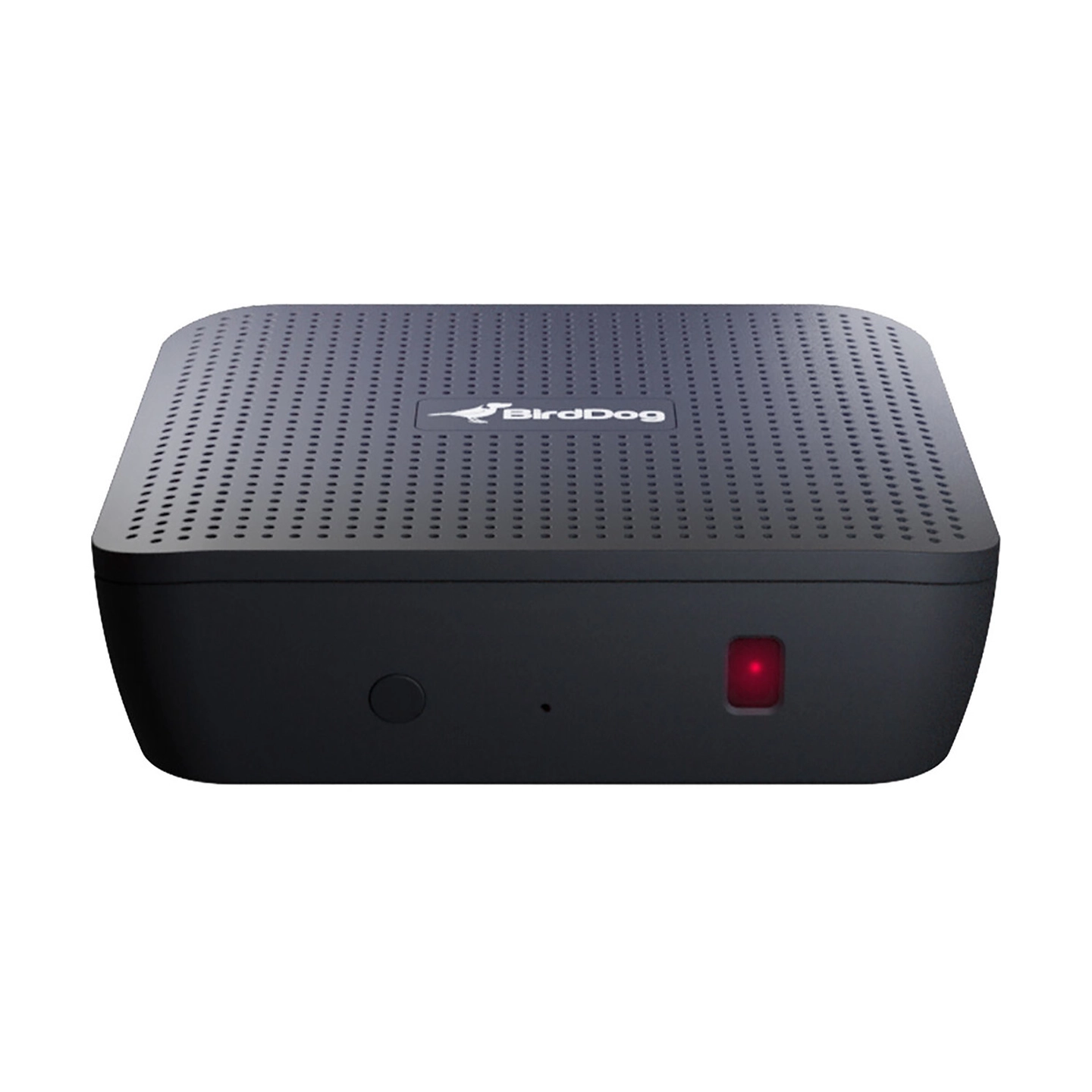 BirdDog PLAY 4K NDI-avspiller HDMI