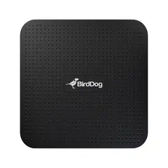 BirdDog PLAY 4K NDI-avspiller HDMI