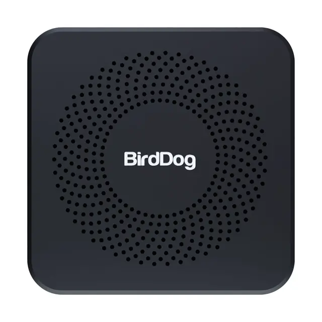 BirdDog PLAY Pro NDI-avspiller HDMI 