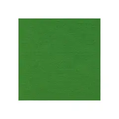 Poly Sheeting Syntetisk Lerret Chroma Key Grønn Fls 620cm