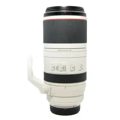 BRUKT Canon RF 100-500mm f/4.5-7.1 L IS Tilstand: 2 | Canon RF