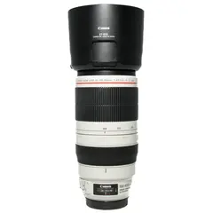 BRUKT Canon EF 100-400mm f/4.5-5.6 IS II Tilstand: 2 | Canon EF