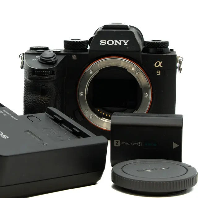 Sony A9 Tilstand: 3 |1252 eksp. 