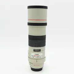 Canon EF 300mm f/4 L IS USM Tilstand: 3 | Canon EF