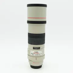 Canon EF 300mm f/4 L IS USM Tilstand: 3 | Canon EF