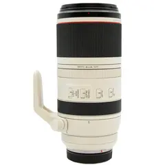 Canon RF 100-500mm f/4.5-7.1 L IS USM Tilstand: 2 | Canon RF