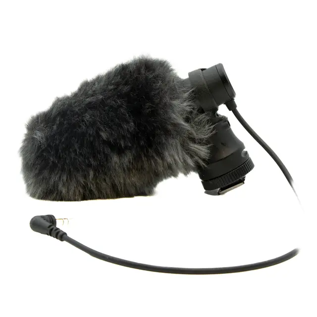 Canon DM-E100 Tilstand: 3 
