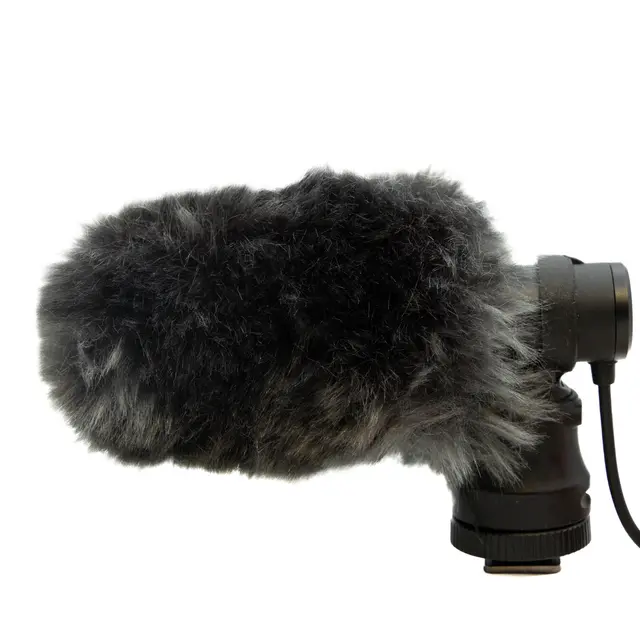 Canon DM-E100 Tilstand: 3 