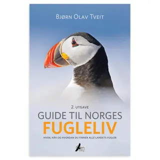 Guide til Norges fugleliv Bjørn Olav Tveit