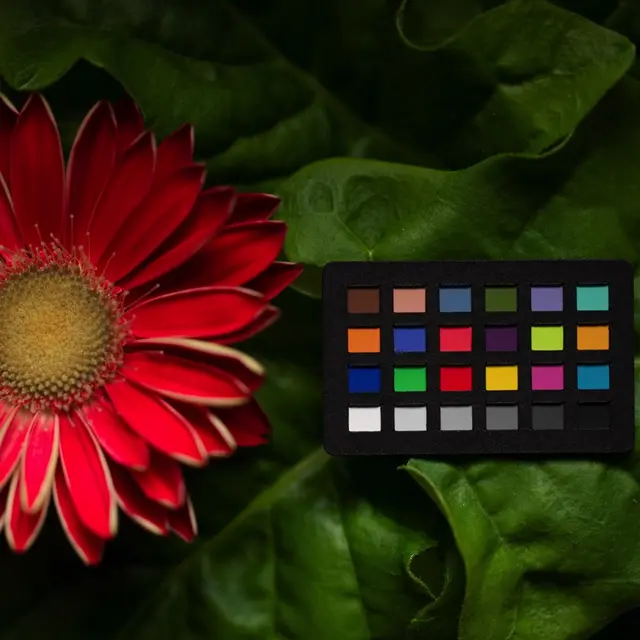 Calibrite ColorChecker Classic Nano Nano Fargekart til Foto 24 x 40 mm 