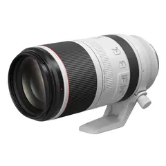 Canon RF 100-500mm f/4.5-7.1 L IS USM &#216;77mm