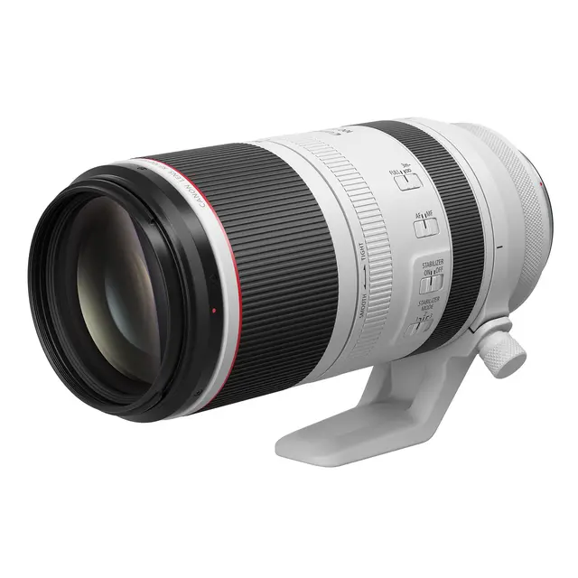 Canon RF 100-500mm f/4.5-7.1 L IS USM 