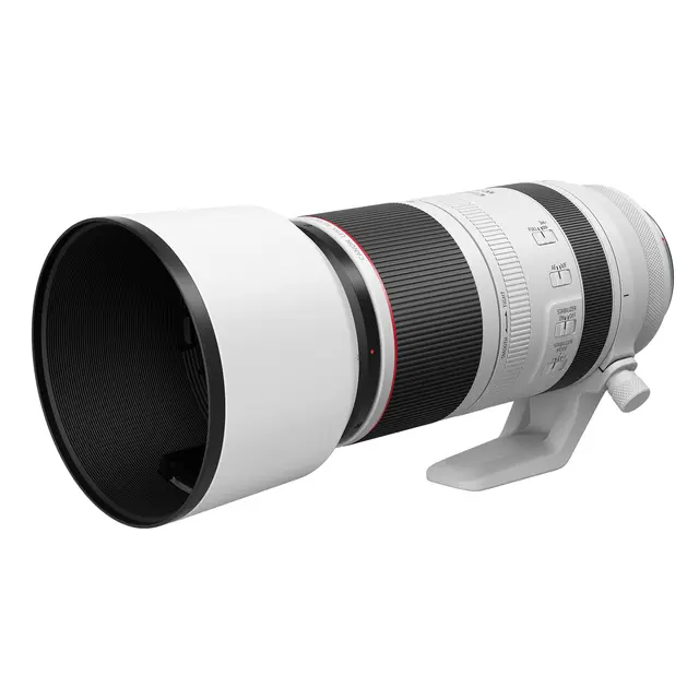 Canon RF 100-500mm f/4.5-7.1 L IS USM 
