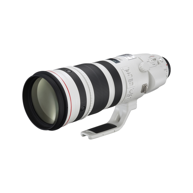 Canon EF 200-400mm f/4 L IS USM + EXT1.4 m/Innebygd 1.4x ext Tilsvarer 280-560mm 