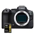 Canon EOS R6 Mark II + Minnekort Med Lexar Pro 2000X SDXC UHS-II U3 128GB