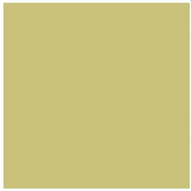 Colorama Bakgrunnspapir 0112 Fern 2,72  x 11 meter 