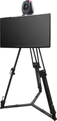 Datavideo LBK-2 Tripod mount for 24&quot;-32&quot; monitors