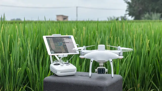 DJI Phantom 4  Multispectral RTF 