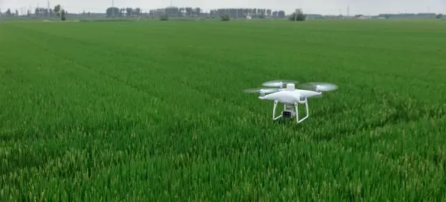 DJI Phantom 4  Multispectral RTF 