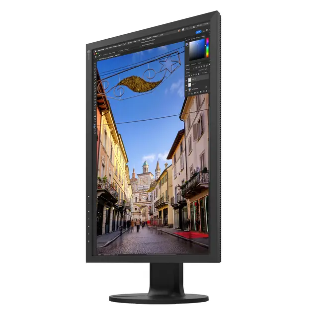 EIZO ColorEdge CS2400S 24" Sort 24" Monitor 