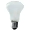 Innstillingslys 100W/196V E27 Elinchrom D-Lite serien