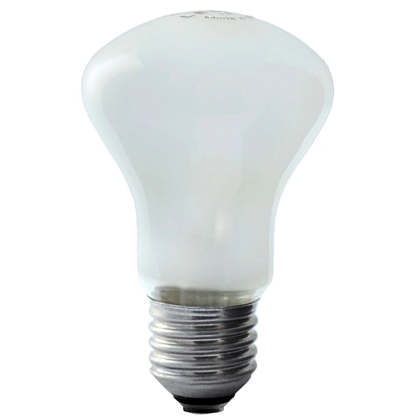 Elinchrom Innstillningslys 196V/100W Elinchrom D-Lite serien
