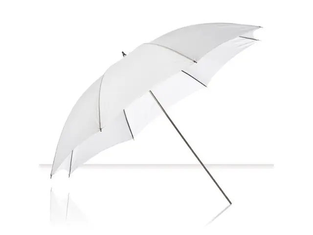 Elinchrom Umbrella Shallow Transulcent Paraply 85cm. Transparent 