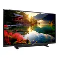 Flanders Scientific XMP550 55&quot; 4K Referanse Monitor 2000 NIT