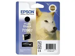 Epson T096 11,4ml SP R2880 Foto Sort blekkpatron