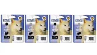 Epson T0969 Light Light Black 11,4ml SP R2880 Lys Lys Sort