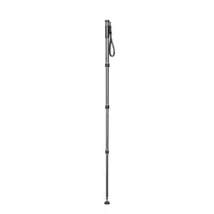 Gitzo GM2542 Monopod Serie 2 Karbon Ettbenstativ 1,64m