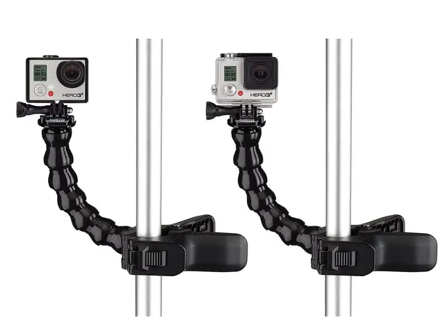 GoPro Jaws: Flex Clamp 