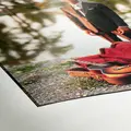 Hahnem&#252;hle FineArt Pearl 285g