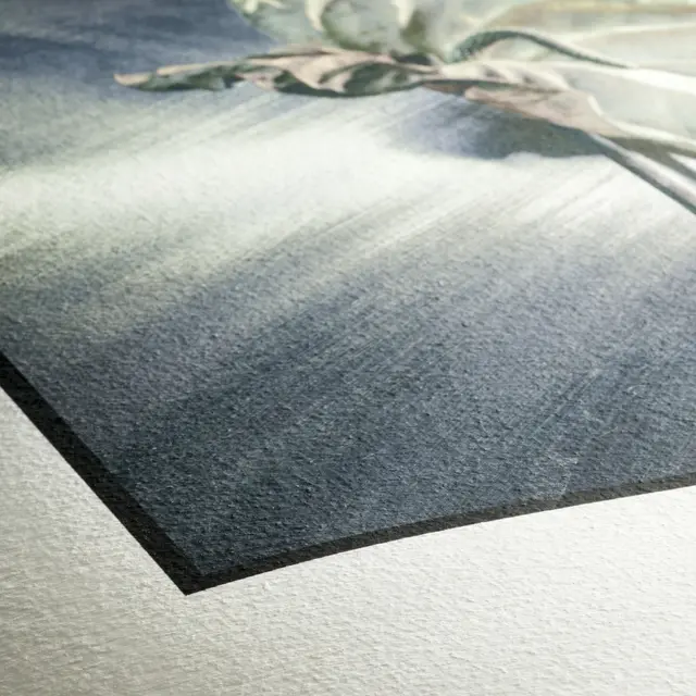 Hahnemühle German Etching 310gr Rull 44"x20m 100% a-Cellulose, white 