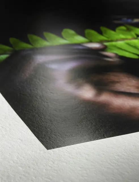 Hahnemühle Photo Rag Pearl 320gr Rull, 24"x12m 