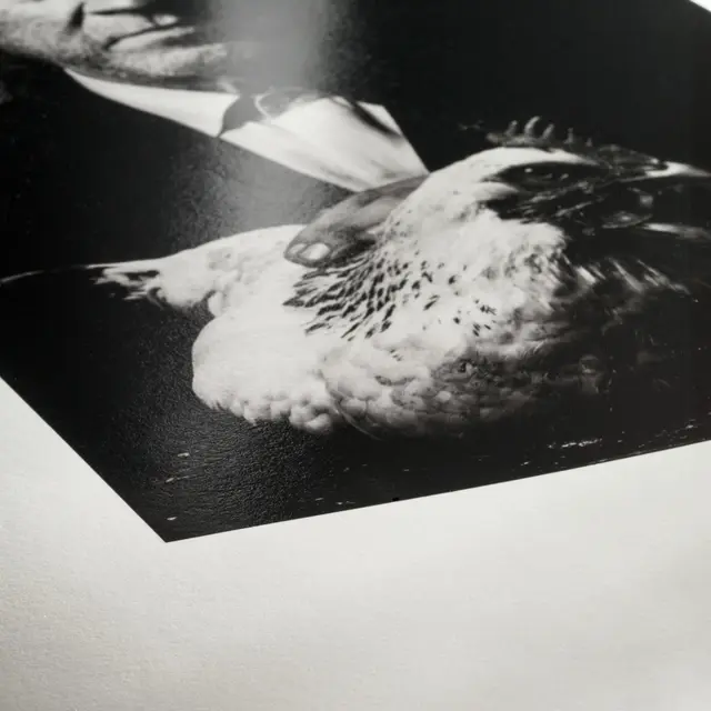 Hahnemühle Photo Rag Baryta 315gr Rull, 60"x12m 152cm 