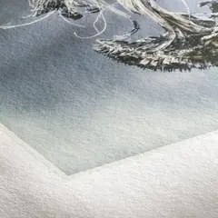 Hahnem&#252;hle Museum Etching Deckle Edge 350gsm, med revet kant