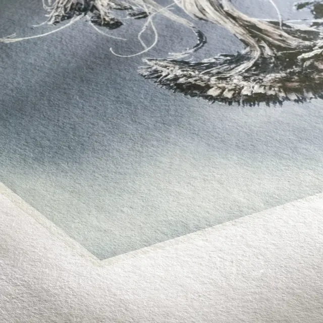 Hahnemühle Museum Etching Deckle Edge A3+ - 25 ark 350gsm, med revet kant 