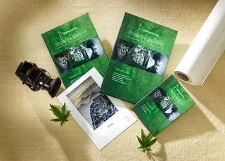 Hahnem&#252;hle Hemp 290gr A2 - 25 ark