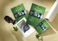 Hahnem&#252;hle Hemp 290gr