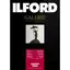 Ilford Galerie Smooth Pearl 100 ark 10x15 310gms