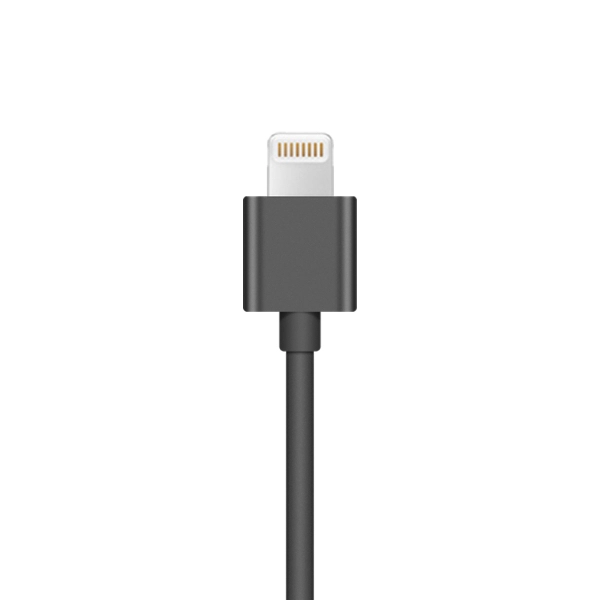 Insta360 ONE X Lightning Cable Apple Lightning til Micro-USB