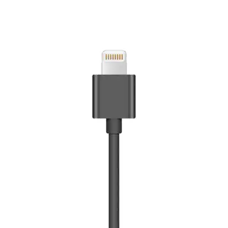 Insta360 ONE X Lightning Cable