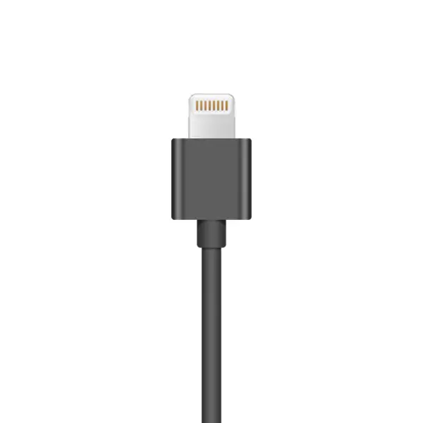 Insta360 ONE X Lightning Cable 