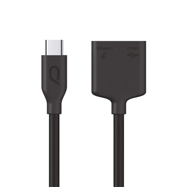 Kandao Qoocam 8K 2-i-1 USB Type C kabel 