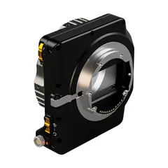 KipperTie Strata Electro RF/PL RF/PL