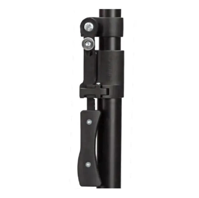 autopole