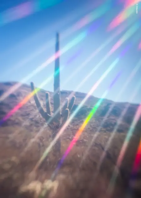 Lensbaby Omni Universal Expansion Pack With Rainbow 